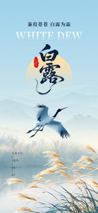 白露  