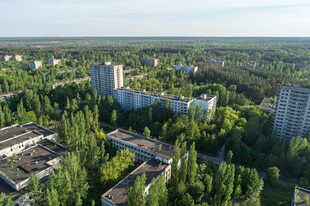城市中绿树环绕的建筑群