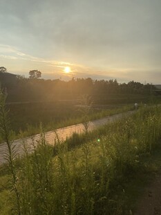 夕阳下的田野与蜿蜒小路