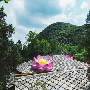 屋顶上的巨型粉色莲花景观