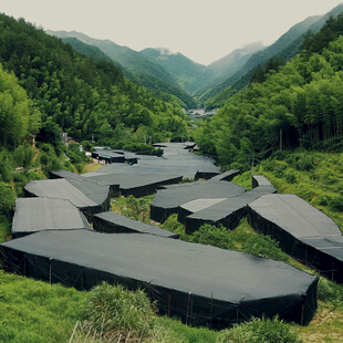 山间错落有致的黑色建筑