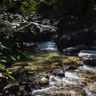 山间清澈溪流潺潺流淌