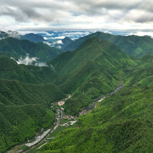 山间绿野美景