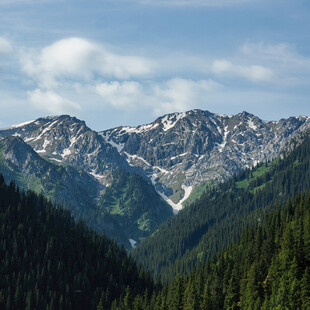 壮丽山峦与葱郁森林景观