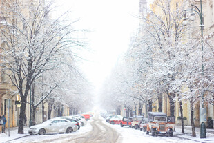 冬日雪后街道的静谧景象