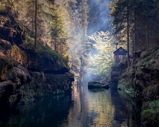 林间幽溪光影洒落之景