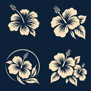 扶桑花图案集
