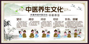 中医养生文化宣传展板