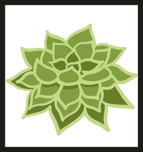 可爱绿色多肉植物插画
