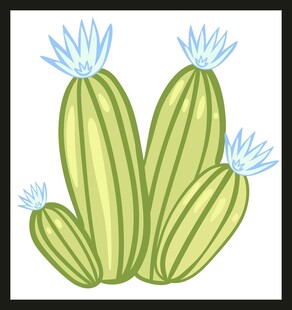 手绘可爱仙人掌植物插画