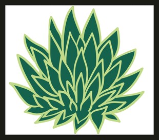 绿色芦荟图案设计元素