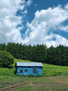 田野中的蓝色小屋