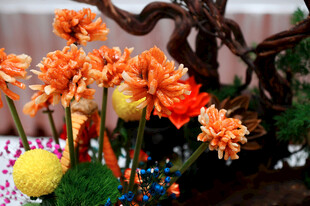 渊明悠然菊花鱼