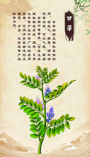 传统风格的 甘草