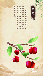 红枣 红果插画