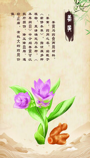 中式 姜黄