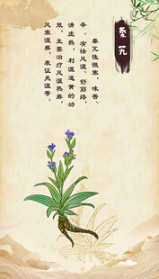 传统水墨画 秦艽