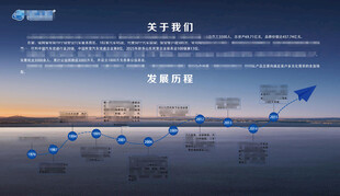 企业发展历程可视化图表