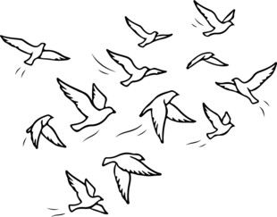群鸟飞翔简笔画