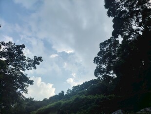 山林间的蓝天白云美景