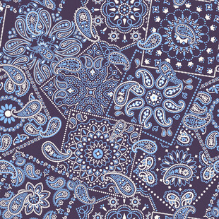 佩斯利花纹图案 线条