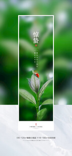 清新植物花卉展示图