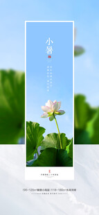 清新花卉自然中的一抹白