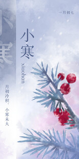 小寒时节红果映松枝