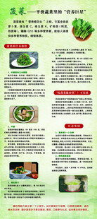 菠菜的价值