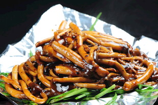 茶树菇