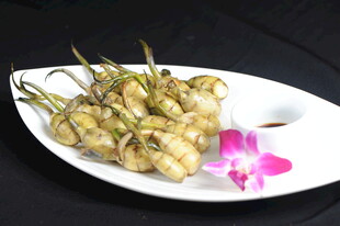慈菇