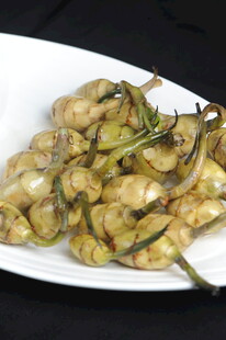 慈菇