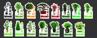 植物介绍卡