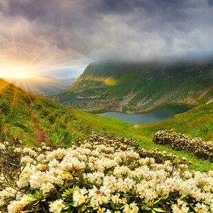 山间花海与壮丽河谷美景