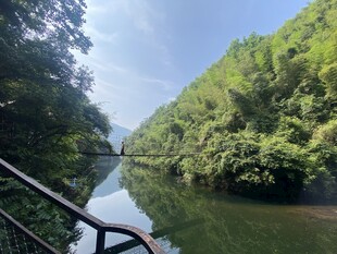 青山绿水间的宁静河道