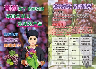新疆葡萄宣传页展示