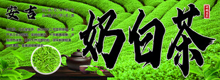 奶白茶