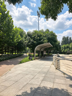 城市公园中的休闲步道景观