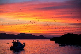 海上绝美夕阳下的船只