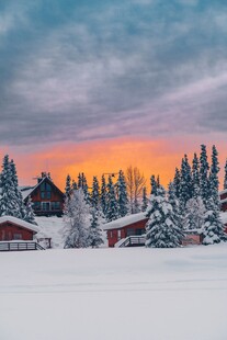 冬日雪林夕阳下的温馨景象