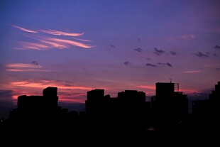 城市黄昏天空飞鸟剪影