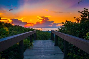 夕阳下的林间木栈道美景
