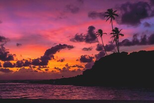 海边绝美日落与椰林风光