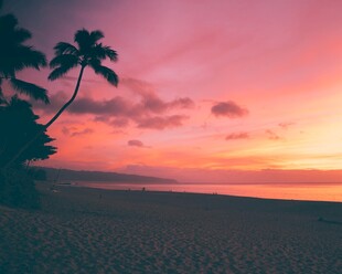夕阳下的椰树海滩美景