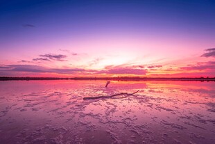 海边绝美日落浪漫景象