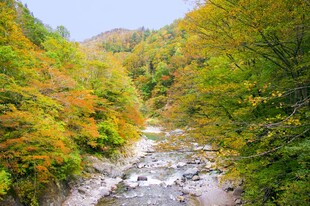 秋日山间溪流美景