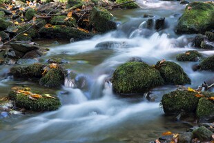山间潺潺溪流与青苔石景