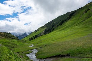 山间绿野溪流美景