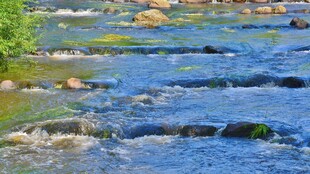 山间溪流中的清澈流水