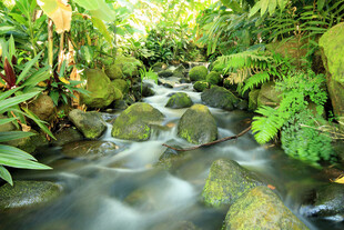 山间溪流绿意盎然的自然景